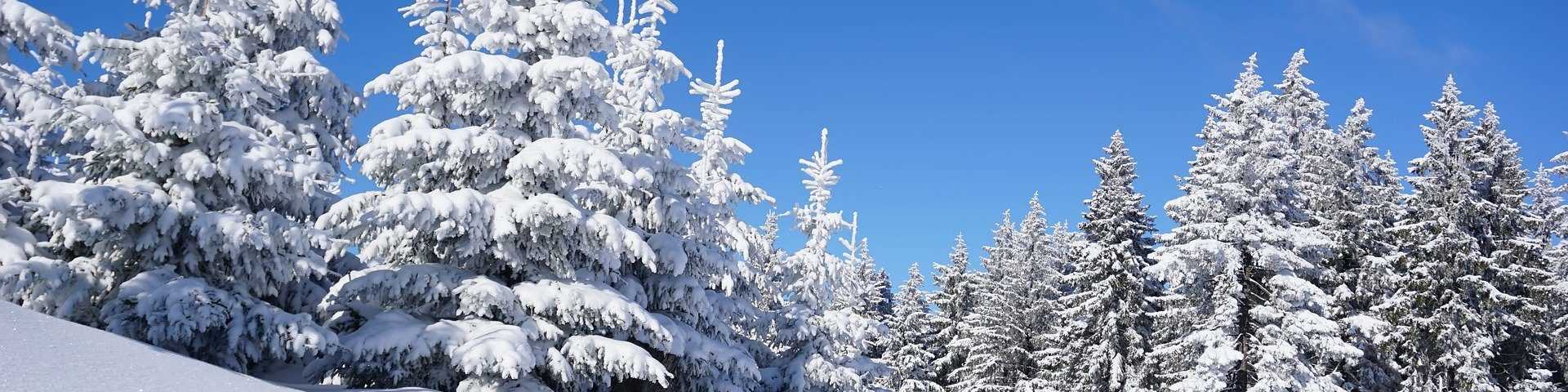 Teaser Bramberg am Wildkogel